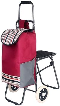 trolley bag with seat