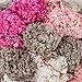 RED HEART Pomp-A-Doodle Yarn, Pinksand