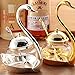 Tea Talent Condiment Pot Seasoning Container Spice Glass Jar Salt Sugar Bowl Pepper Coffee Storage Organizer Swan Rack with Serving Spoon,Silver