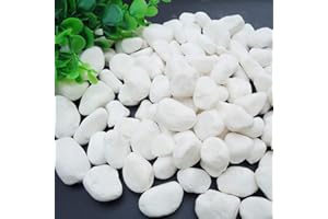 WAYBER 1 Lb/460g White Stones Decorative Pebble Rock Sand for Aquarium/Fish Turtle Tank/Vase Filler/Succulent Plants Decoration (Fill 1 Cup)