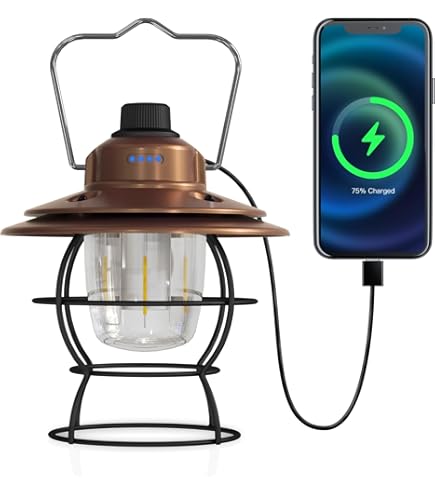Amazon.com: Fieldspark LED Camping Lantern Rechargeable, Copper