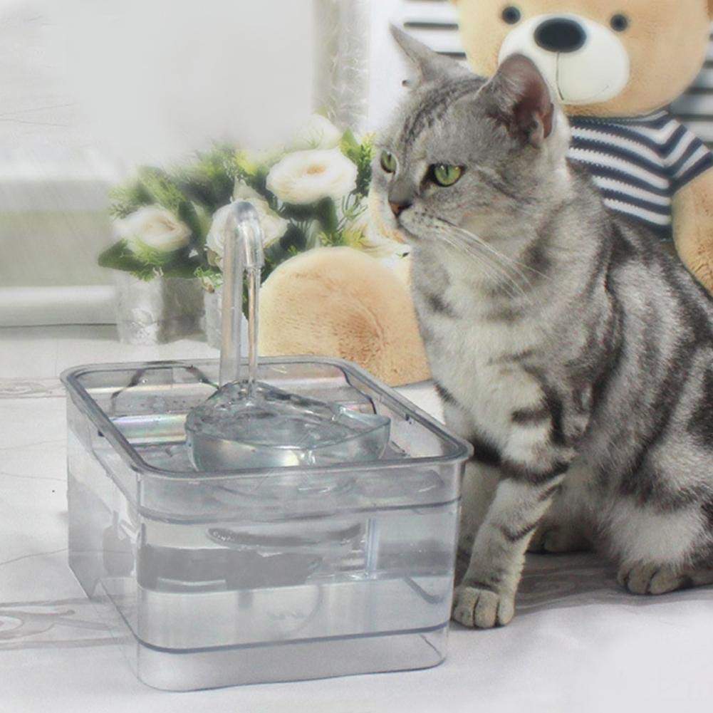 Décoration Dextérieur Distributeur Deau Pour Animaux