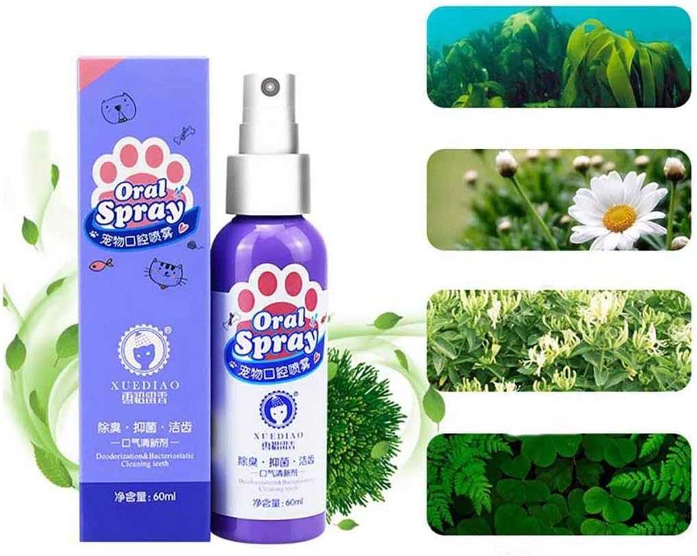 dog teeth cleaning solution