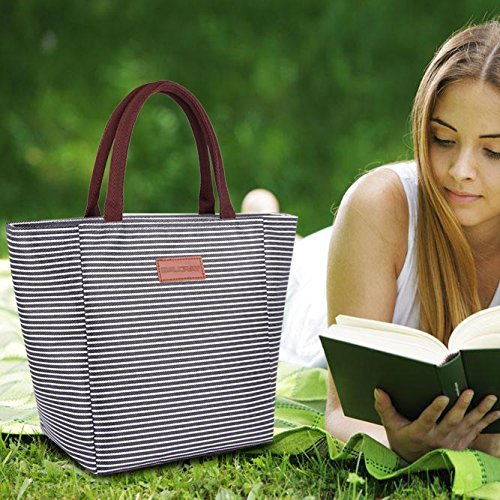 image for BALORAY 2 Pack Insulated Reusable Lunch Tote Bag with Zipper Closure F
