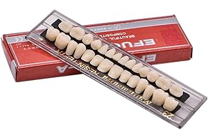 smiledt Acrylic Resin Teeth Dental Denture Halloween Horror Prop Middle Size