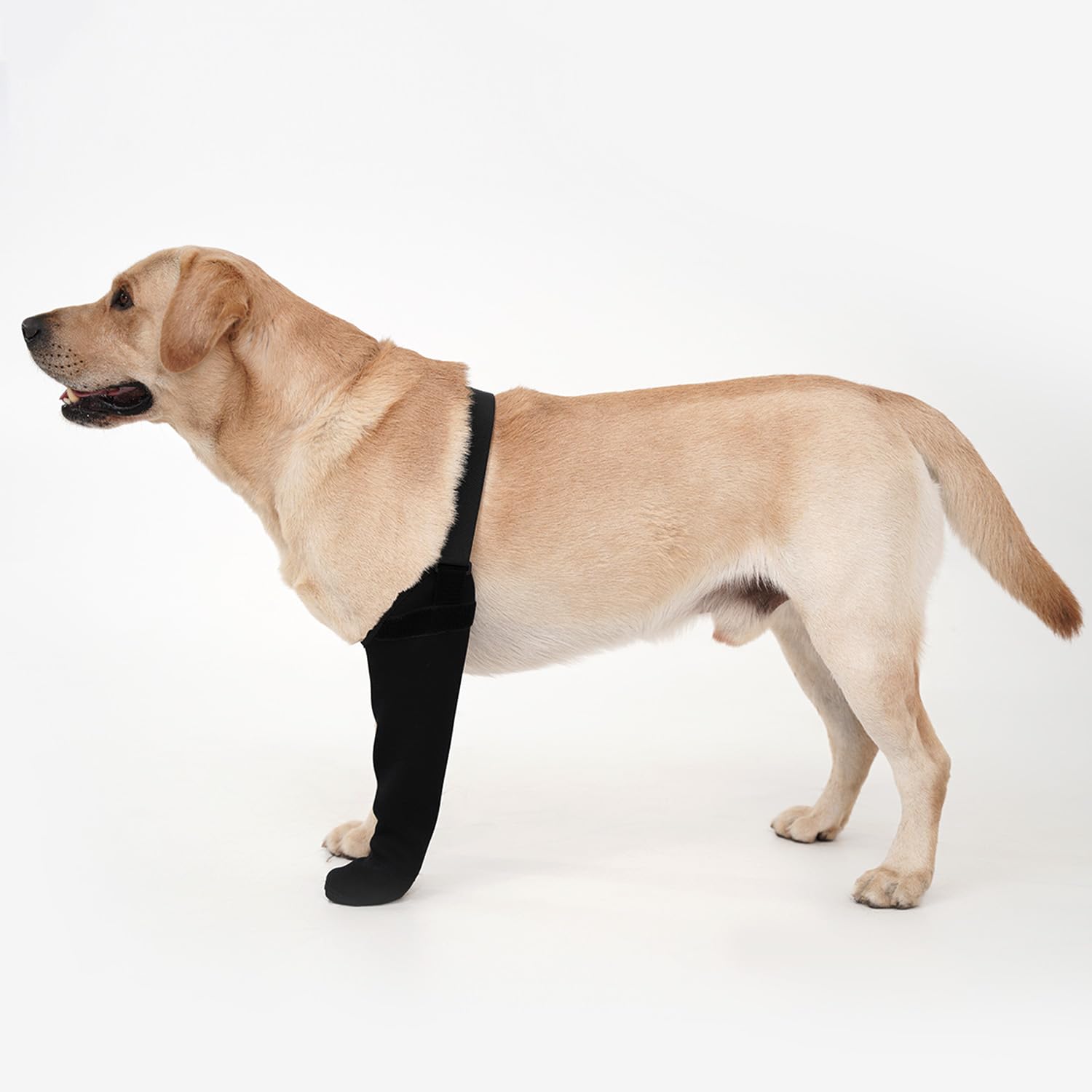 Photo 1 of yrenoer Dog Recovery Socks - Waterproof Paw Protectors with Non-Slip Sole | Post-Surgery Boots for Wound Protection | Anti-Licking Sleeves for Dogs (Black, M_Right)