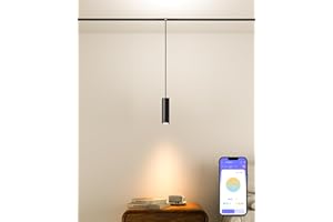 Hengsense LED Spotlight Pendant Downlight Lamp Head, 24V Magnetic Track Lighting Pendans Light, 7W LED Lamp,Smart Control via App, Remote & Voice, Dimmable & CCT 2700K-6000K, Beam Angle 24°