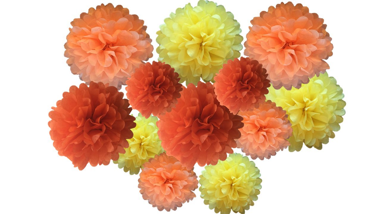 pack of 12 Pack Mixed Tissue Paper Pompom Pom Pom Hanging Garland Wedding Party Decorations (Sunshine, mix 8" & 10" (20 cm & 25 cm))