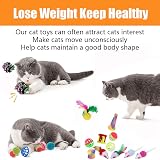 Speedy Panther 22 Pcs Cat Toys Interactive Kit Indoor Cat Tunnel Mouse Ball Set view 7