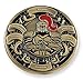Put On The Whole Armor of God Ephesians 6:13-17 Antique Gold/Silver Challenge Coin Shield Knight Sword Prayer Token (1 Antique Gold Coin)