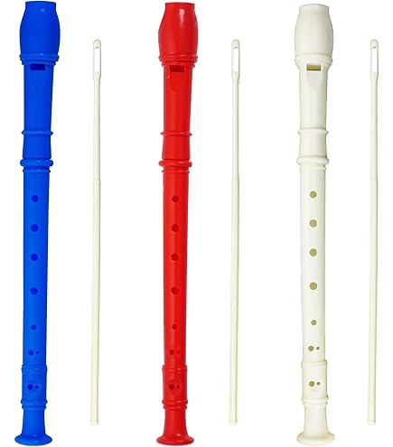 Eastar ERS 1GPu German Soprano Recorder 8 Hole C Key, Purple Recorder - AliExpre