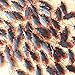 Frebento OJYUDD 200 PCS Fake Cockroach