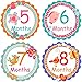 PAMBO Monthly Baby Stickers 16Pcs | Waterproof Milestone Newborn Stickers for Boys & Girls | Ideal for Scrapbooking, Important Events & Celebrations, Photo Keepsake, Craft Projects & Baby Shower