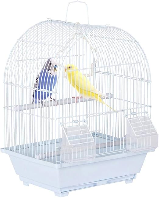 budgie travel carrier