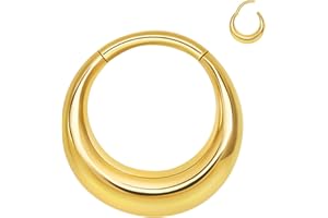 ALACLO 316L Stainless Steel Septum Rings Hoop for Women, 16G 8mm/10mm Stainless Steel Segment Nose Rings for Men, Cartilage Clicker Hoop Earrings for Rook, Daith, Tragus, Hypoallergenic
