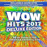 Wow Hits 2017 [2 CD][Deluxe Edition]