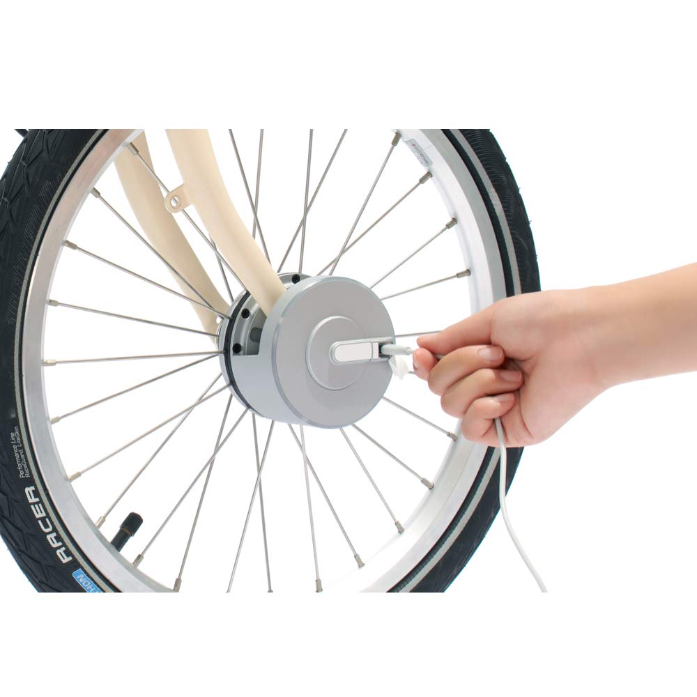 bisecu bike lock price