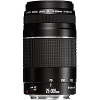 Canon EF 75-300mm f/4-5.6 III Telephoto Zoom Lens for Canon SLR Cameras