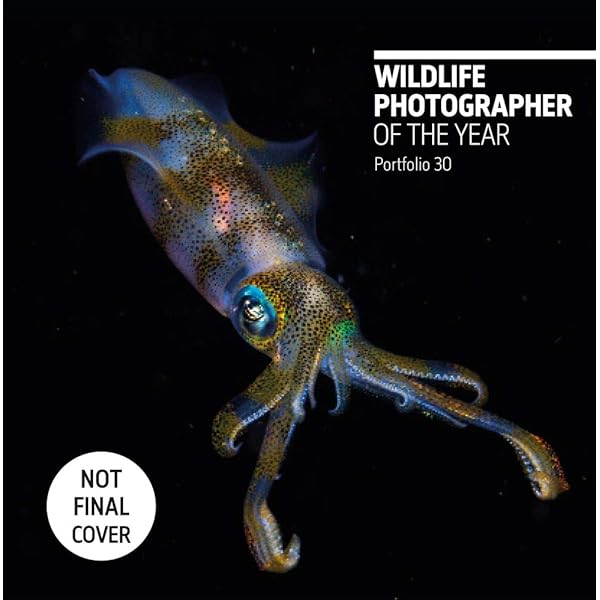 Amazon.com: Wildlife Photographer of the Year: Portfolio 25