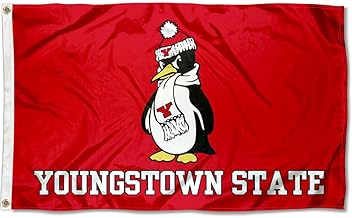 Amazon Com College Flags And Banners Company Youngstown State