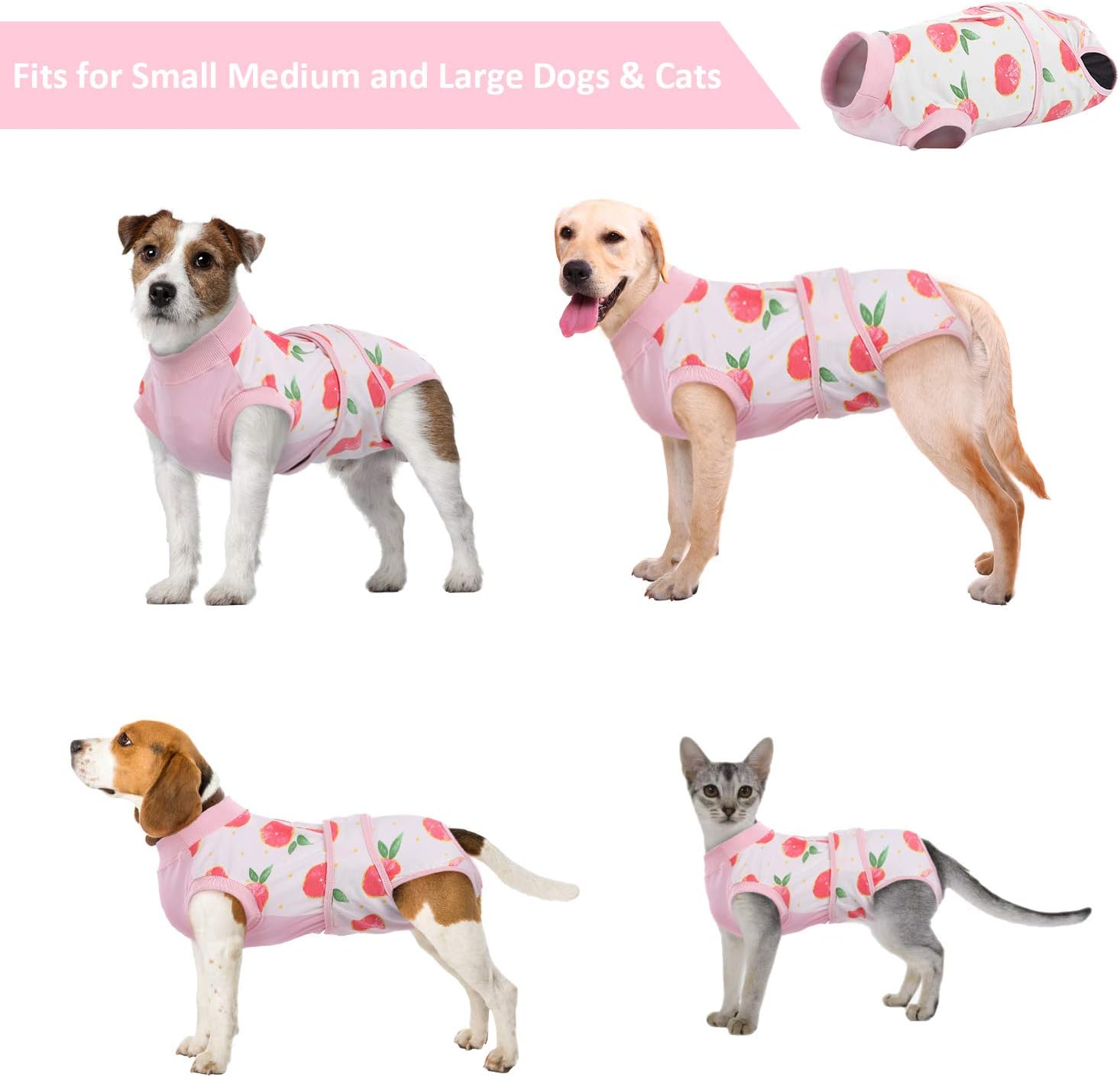 Kuoser Dog Surgery Recovery Suit, Dogs Recovery Suits Female Spay and Male Neuter for Post-Op Care - Image 4