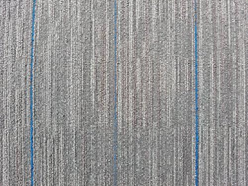 Shaw Ocean Blue Carpet Tile-24"x 24"(12 tiles/case, 48 sq. ft./case)