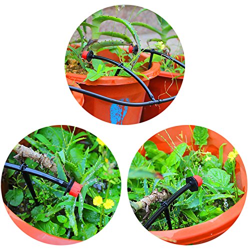3 Elcoho+Irrigation+Support+Vegetable+Gardens