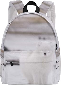 arctic fox school bags