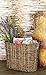 Deco 79 Seagrass Handmade Woven Single Slot Magazine Holder with Light Brown Accents, 15
