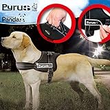 Dog Harness, PYRUS K8 No Pull Harness Dog Leash Padded Pet Walking Harness Heavy Duty for Dogs ( L )