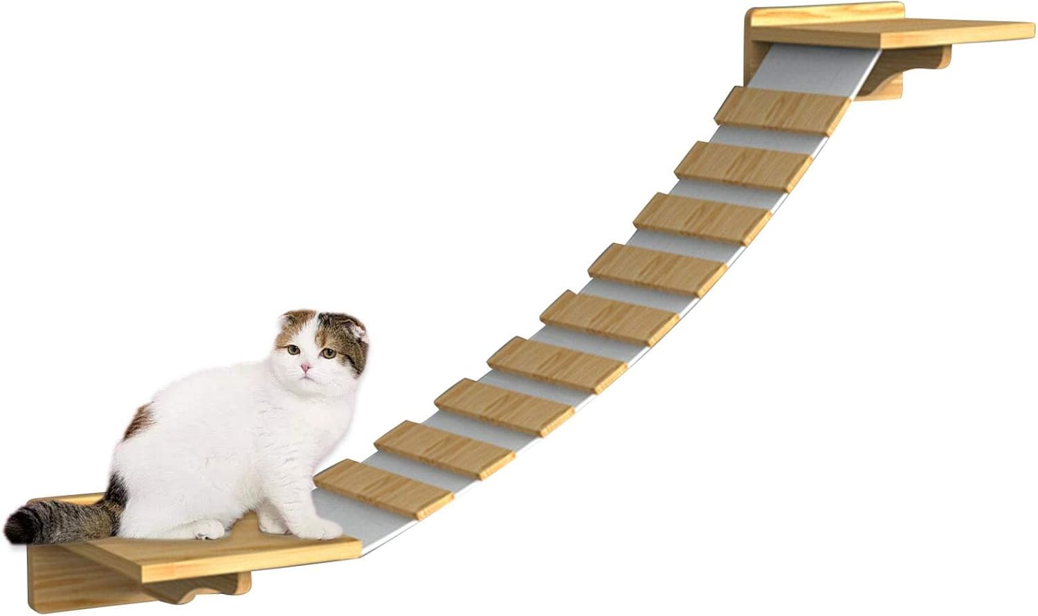 Top 10 Mejores Piscina desmontable pasarela para piscinas | (Diciembre