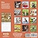 2020 Kittens Wall Calendar by Bright Day, 16 Month 12 x 12 Inch, Cute Cat Kitty Animals Feline