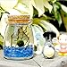 LUFFY Betta Balls: Live Marimo Plants : Natural Toys for Betta Fish : Aquarium Safe (Nano(Gift-Pack))