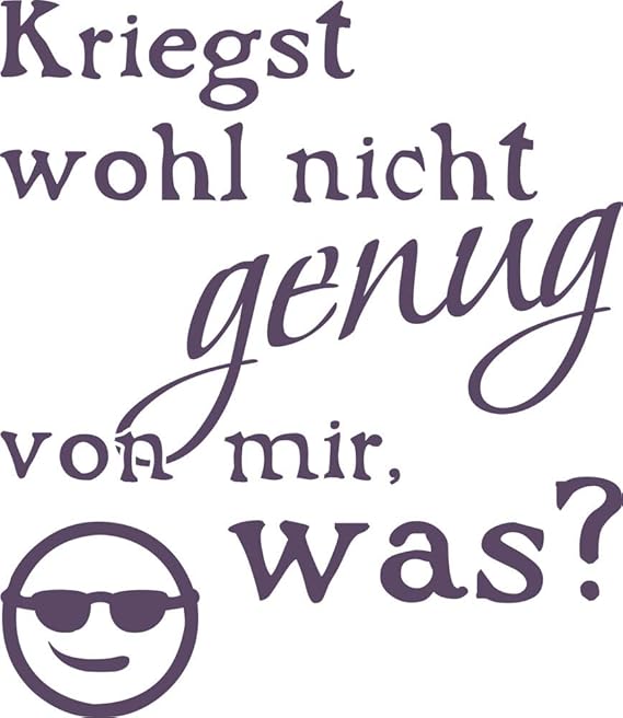 GRAZDesign Wandtattoo Kühlschrank Deko Folie Schriftzug Lustiger Spruch