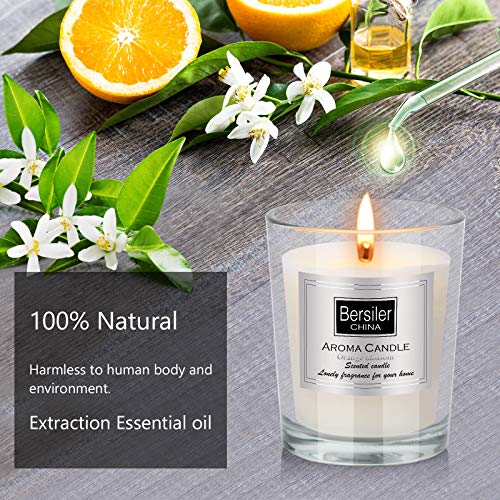Bersiler Aromatherapy Candles, Scented Candles Gift for Women Birthdate Soy Wax Candle 3 Pcs X 4.5 OZ Mother\'s Day Anniversary ：Blue Water