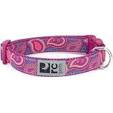 RC Pets 5/8 Inch Adjustable Dog Clip Collar, X-Small, Bright Paisley