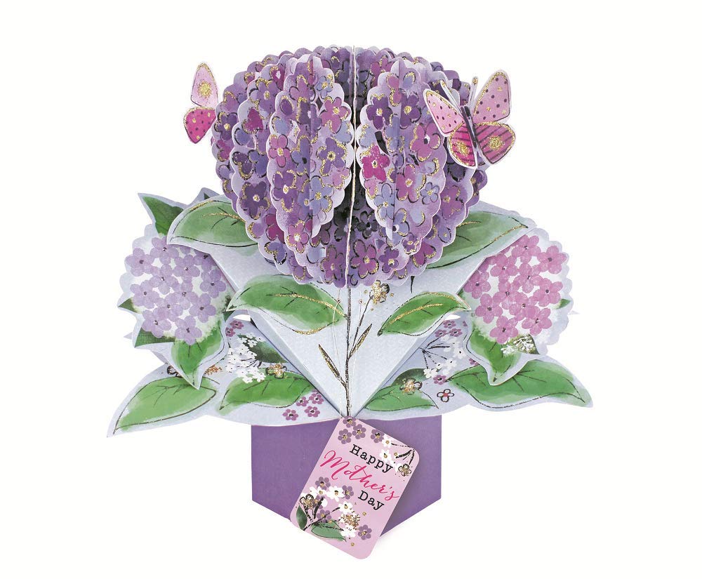 Second Nature Happy Mother's Day Flowers Pop-Up Greeting Card 3D Pop Up Cards MPOP024