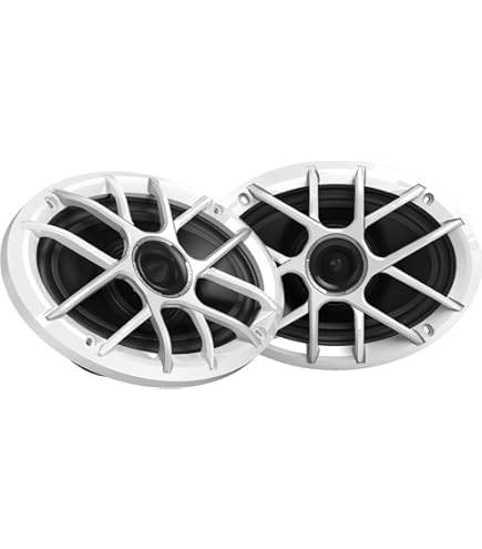 Amazon.com: Wet Sounds Zero 69 XZ-W | Zero Series 6x9 High-Output