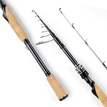 Amazon Best Sellers: Best Fishing Rods