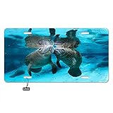 Lefolen Couple Manatee Kissing Front License Plate