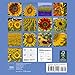 Sunflowers Mini Wall Calendar 2017