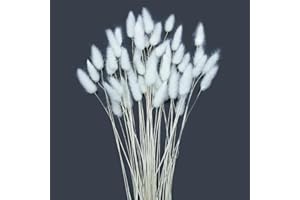 DTXMOH White Bunny Tails Dried Flowers 120 Stems, 17'' Dried Lagurus Rabbit Tail Grass for Bouquet, Vase Fillers, Wedding, DIY Crafts, Boho Home Décor