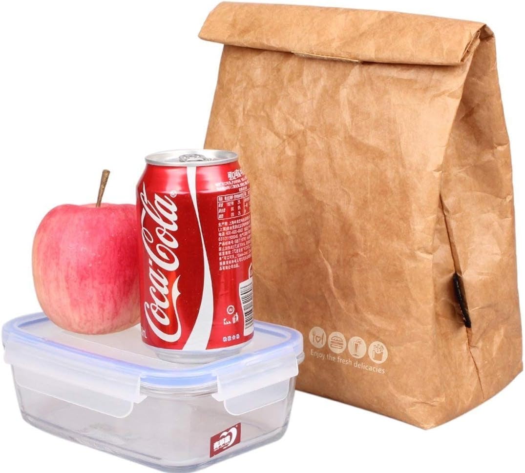 SAMERIO Lunch Bag Cooler Bag Insulated Retro Style Set For Girls Kids Women Adults Boys Breastmilk Reusble Paper Leakproof Environmental Tyvek Handle Bag Go Work Picnic Shool(Brown-D)