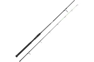 KastKing Kong Saltwater & Freshwater Fishing Rod, Powerful, Lightweight S-Curve Graphite Rod Blanks, Nano Resin Technology, Stainless-Steel Double-Foot Guides w/Titanium Oxide Rings, Non-Slip Handles