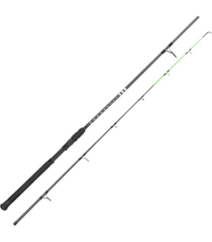 Amazon.com : Daiwa Beef Kitty Catfish Rod 12ft Medium Heavy