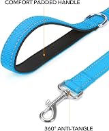 Taglory Dog Leash Small Medium Reflective Soft Neoprene Handle 2cm x 180cm Sky view 2