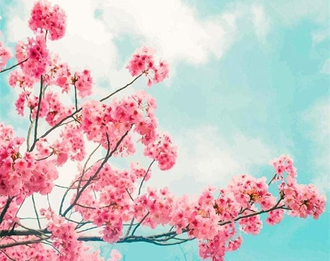 Amazon 数字でペイント美しい花子供と大人のためのdiyアクリル絵の具初心者 40x50cm 3つのブラシと明るい色 絵具 通販