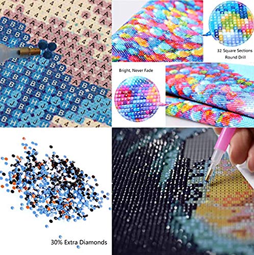 2 Pack 5D Diamond Painting Art Full Drill Kits, Beautiful Rose with Vase Embroidery Painting, Diamond Painting Kits DIY Art Craft Gift for Home Wall Decor (12In x 12In)