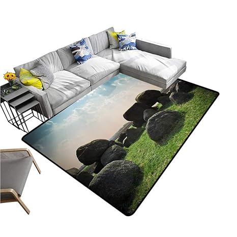 Amazon Com Gmnalahome Large Door Mats Shoes Scraper A Huge Rock