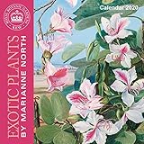 Kew Gardens - Exotic Plants by Marianne North - Mini Wall Calendar 2020 by